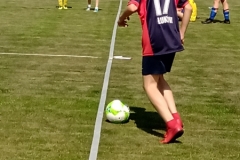 61909128_556572674872919_544235741530554368_n