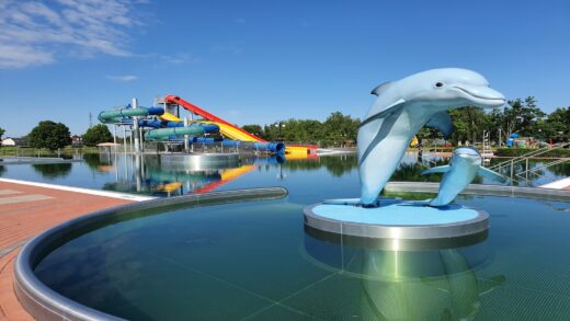 basen, delfin